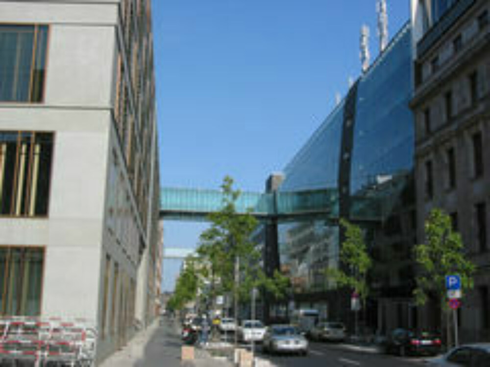Csm 100 0003 IMG 2d6c6fba3e